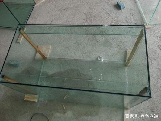 紅龍魚怎么喂食視頻，紅龍魚喂食注意事項，紅龍魚怎么喂食紅龍魚喂食視頻，紅龍魚怎么喂食視頻