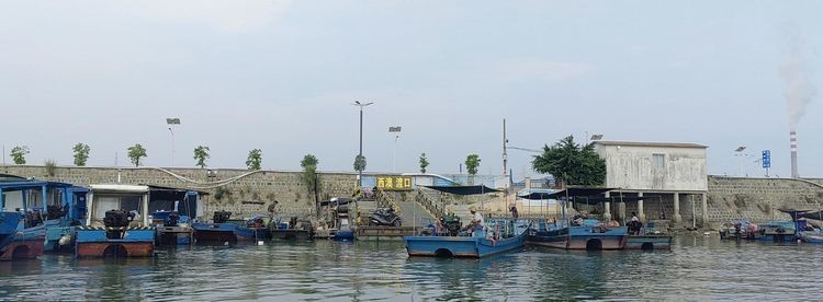 饒平金龍魚碼頭地址