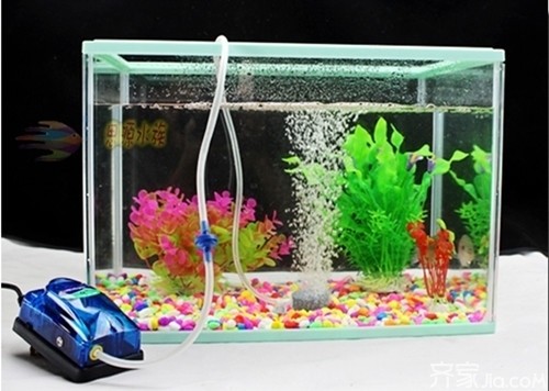 邯鄲市邯山區(qū)趙國晟水族館（邯鄲市邯山區(qū)趙國晟水族館地址） 邯鄲市邯山區(qū)趙國晟水族館（邯鄲市邯山區(qū)趙國晟水族館地址） 全國水族館企業(yè)名錄