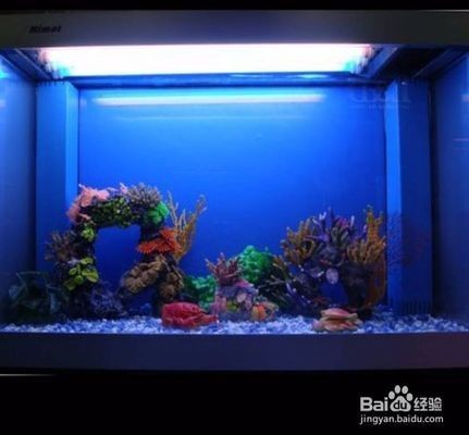 飼料 汕頭市龍湖區靚雅水族店(汕頭市龍湖區靚雅水族店地址) 全國水族館企業名錄 汕頭市龍湖區靚雅水族店(汕頭市龍湖區靚雅水族店地址) 汕頭市龍湖區靚雅水族店(汕頭市龍湖區靚雅水族店地址) 全國水族館企業名錄