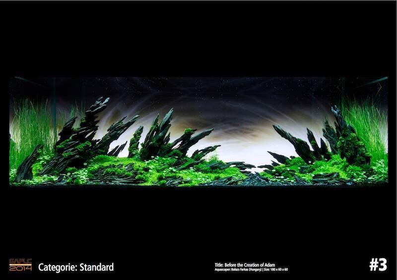 瑰麗的水族造景 瑰麗的水族造景 全國水族館企業名錄 第3張