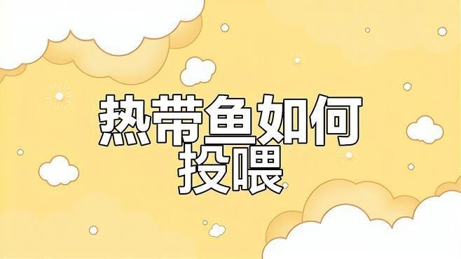 雪銀龍魚和銀龍魚的區別圖片