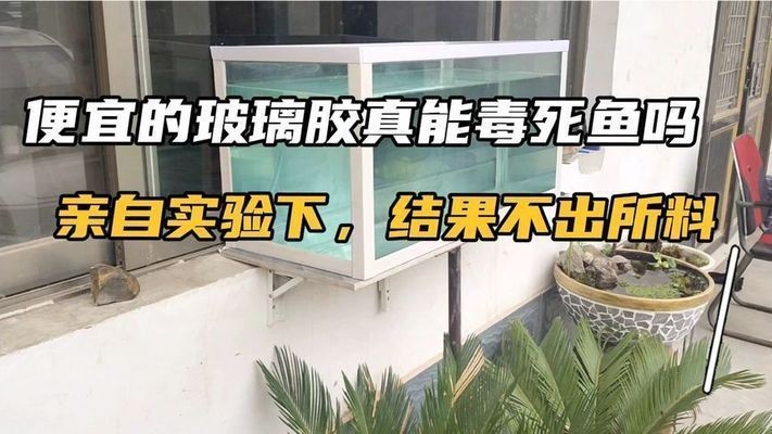 東莞鏡禾貿易有限公司（東莞鏡禾貿易有限公司怎么樣） 東莞鏡禾貿易有限公司（東莞鏡禾貿易有限公司怎么樣） 全國水族館企業名錄