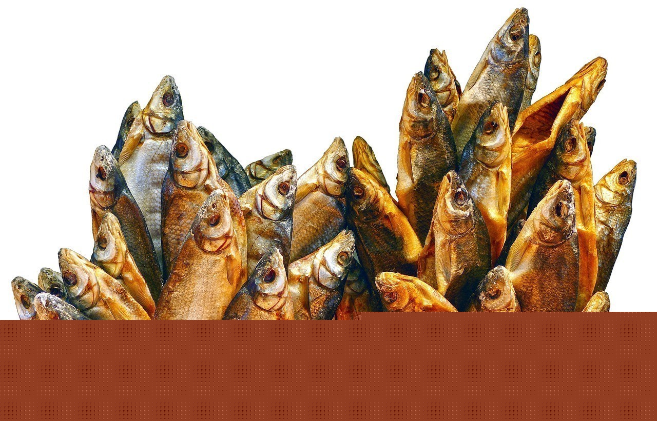 皮魚干是什么魚