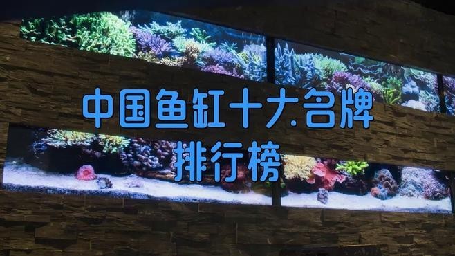 高端龍魚缸有哪些牌子的