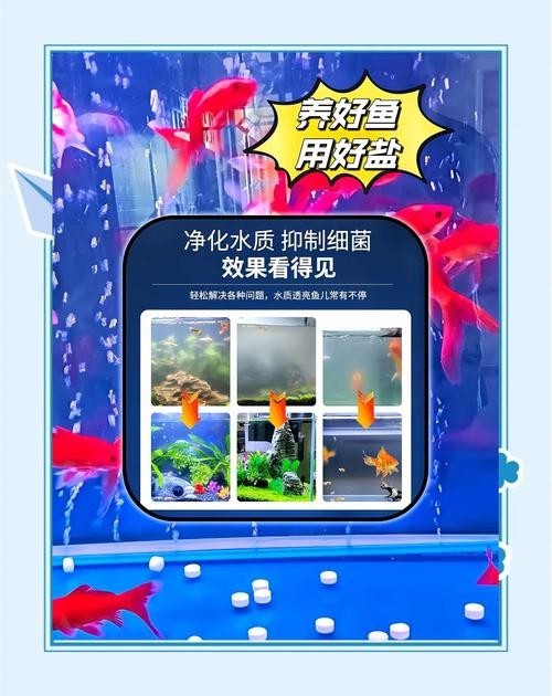 龍魚專用鹽有哪些使用注意事項？