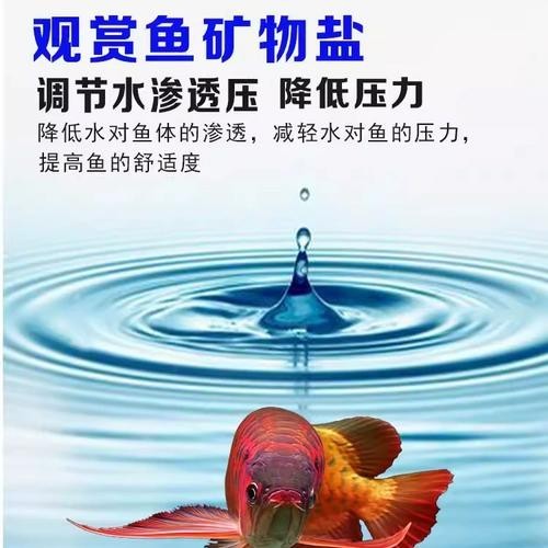 龍魚專用鹽有哪些使用注意事項？