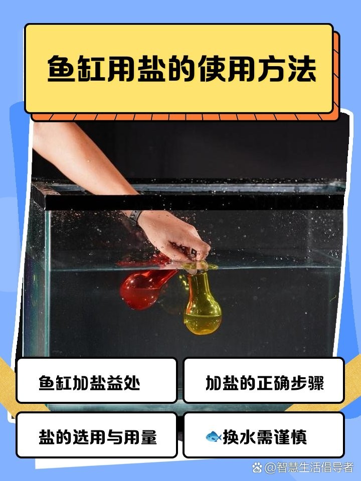 龍魚專用鹽有哪些使用注意事項？