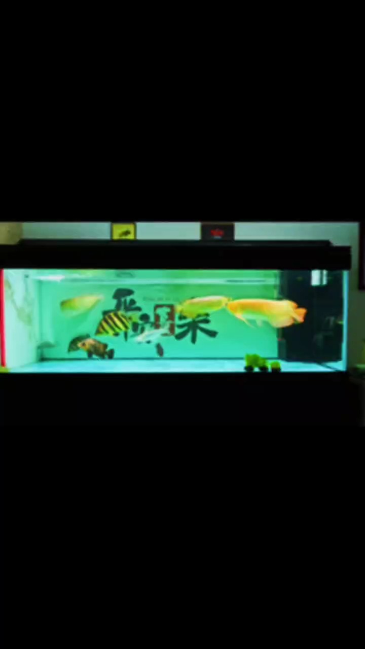 運城市鹽湖區東城新區鑫海灣水族店