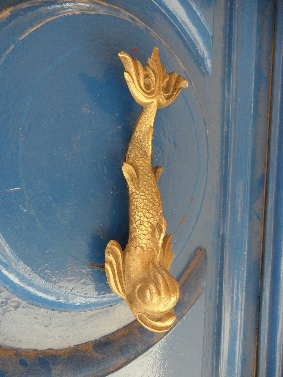 黃金猛魚和巨骨舌魚誰厲害