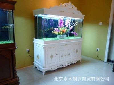 定制大型魚缸的價格是多少：亞克力魚缸與玻璃魚缸對比在選擇定制大型魚缸價格
