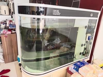 可麗愛魚缸使用壽命 可麗愛魚缸使用壽命 魚缸百科 第1張