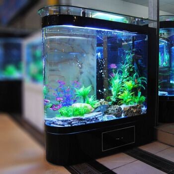 美之海魚缸怎么樣啊：美之海魚缸價格對比分析美之海魚缸價格對比分析 美之海魚缸怎么樣啊：美之海魚缸價格對比分析美之海魚缸價格對比分析 魚缸百科 第5張