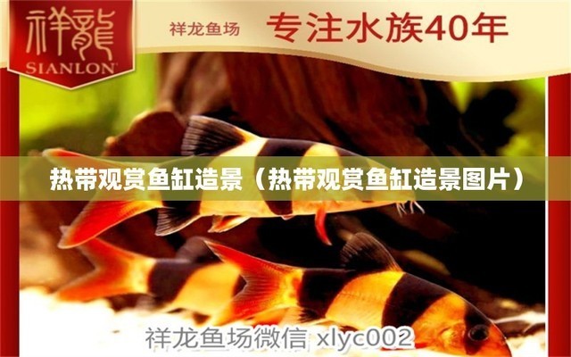 廣州市白云景泰好景水族店（廣州市白云景泰好景水族店地址） 廣州市白云景泰好景水族店（廣州市白云景泰好景水族店地址） 全國(guó)水族館企業(yè)名錄