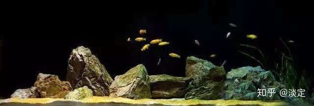 森森魚缸好嗎？（森森魚缸值得信賴的選擇森森魚缸是一個值得信賴的品牌）