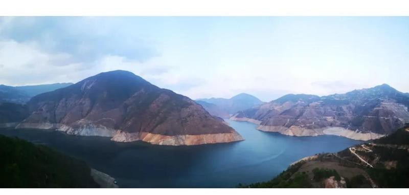 翹嘴魚那么難吃為啥那么貴