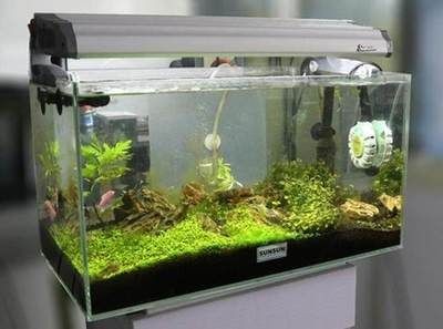 魚缸推薦品牌（德國黑鉆，日本黑鉆，） 魚缸推薦品牌（德國黑鉆，日本黑鉆，） 魚缸百科 第1張
