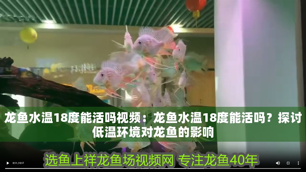 龍魚水溫18度能活嗎視頻：龍魚水溫18度能活嗎？探討低溫環(huán)境對龍魚的影響 龍魚水溫18度能活嗎視頻：龍魚水溫18度能活嗎？探討低溫環(huán)境對龍魚的影響 龍魚百科 第1張