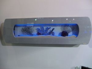 龍魚缸配魚圖片欣賞：龍魚缸配魚圖片欣賞詳情