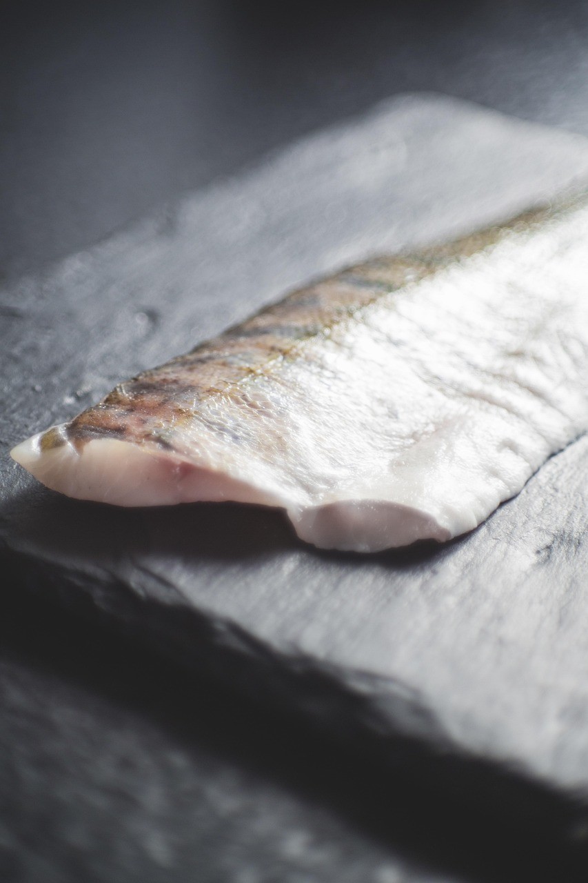 球魚品種圖片