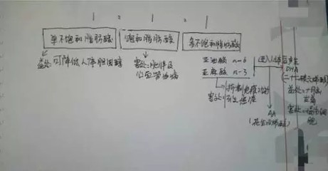 龍魚漁場四大品牌的聯(lián)系方式,龍魚漁場四大品牌介紹 龍魚百科 第2張 龍魚漁場四大品牌的聯(lián)系方式,龍魚漁場四大品牌介紹 龍魚漁場四大品牌的聯(lián)系方式,龍魚漁場四大品牌介紹 龍魚百科 第2張