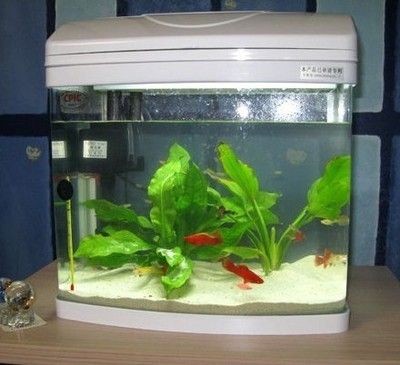 閩江魚缸型號大全20款：閩江魚缸型號大全 閩江魚缸型號大全20款：閩江魚缸型號大全 魚缸百科 第2張