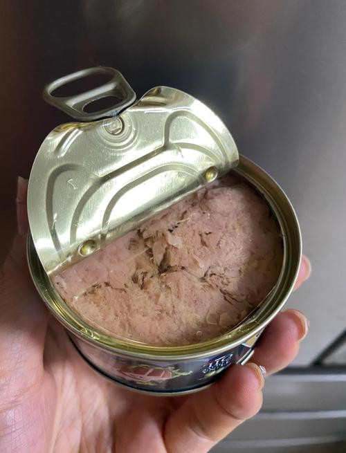 金龍魚罐頭魚圖片