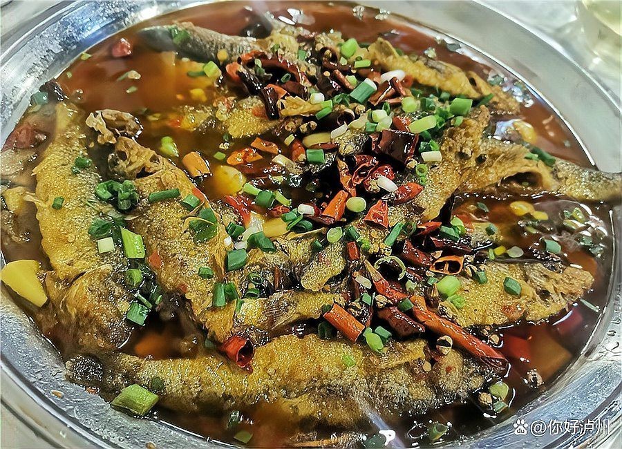 四川土鳳魚圖片