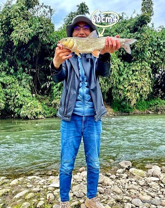 四川土鳳魚圖片