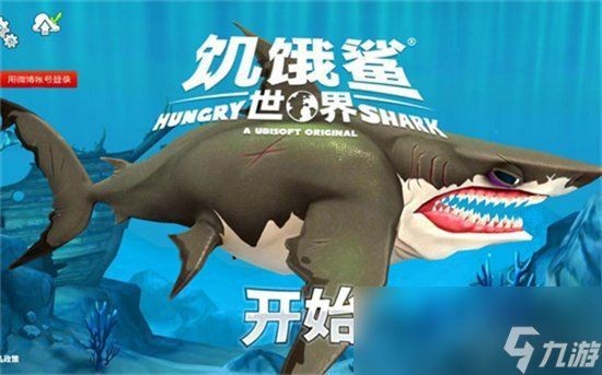 饑餓鯊前十名排列的鯊魚