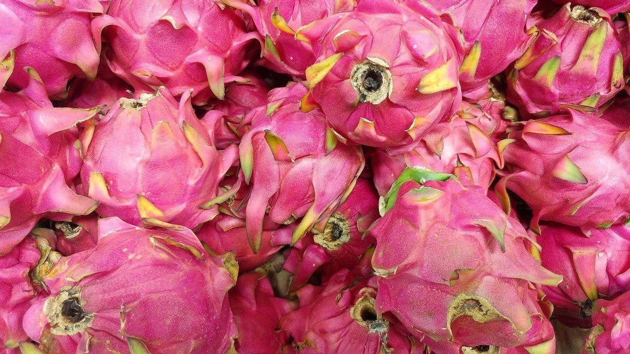 歷城區梓恩花禮鮮花店(歷城區梓恩花禮鮮花店地址) 全國水族館企業名錄 第1張 歷城區梓恩花禮鮮花店(歷城區梓恩花禮鮮花店地址) 歷城區梓恩花禮鮮花店(歷城區梓恩花禮鮮花店地址) 全國水族館企業名錄 第1張