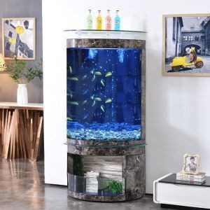 意牌魚缸為什么便宜一點：yee/意牌魚缸用戶評價匯總意牌與森森魚缸對比 意牌魚缸為什么便宜一點：yee/意牌魚缸用戶評價匯總意牌與森森魚缸對比 魚缸百科 第3張