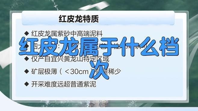 紅皮龍為何不值錢