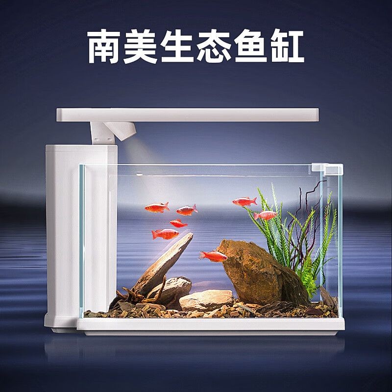 索一魚缸官網(wǎng)
