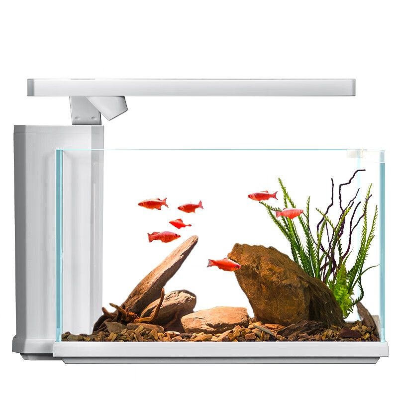 索一魚缸官網(wǎng)