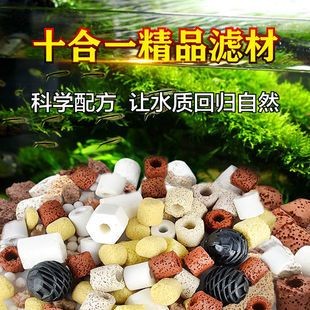 魚缸圖片真實照片高清（魚缸設計風水講究魚缸內部裝飾技巧魚缸內部裝飾技巧）