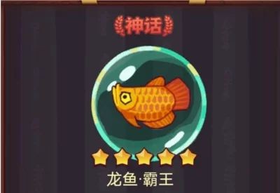 龍魚魚友微信群（龍魚魚友微信群養(yǎng)殖技巧和注意事項和注意事項）