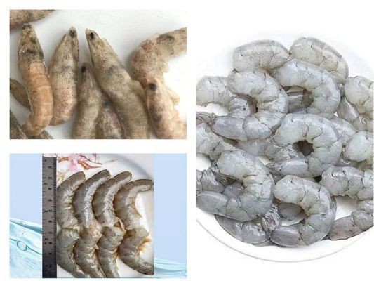 龍魚寄生蟲有哪些：龍魚寄生蟲的分類及其影響，龍魚寄生蟲的自然治療方法