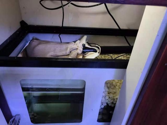 魚缸過濾不行怎么解決：如何解決魚缸過濾器故障的問題