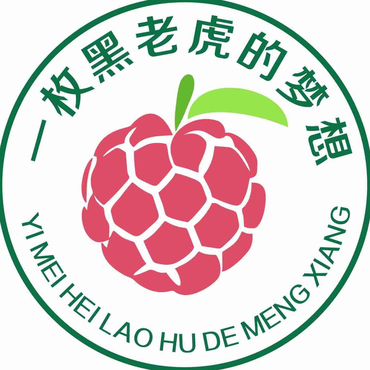 虎苗5元一只貴不貴 虎苗5元一只貴不貴 龍魚(yú)論壇 第6張