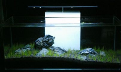 淡水魚缸怎么改海水魚缸（淡水魚缸改海水魚缸的基本步驟） 淡水魚缸怎么改海水魚缸（淡水魚缸改海水魚缸的基本步驟） 魚缸百科 第3張