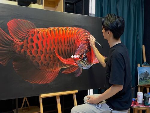 能推薦一些高清的紅龍魚壁紙嗎？