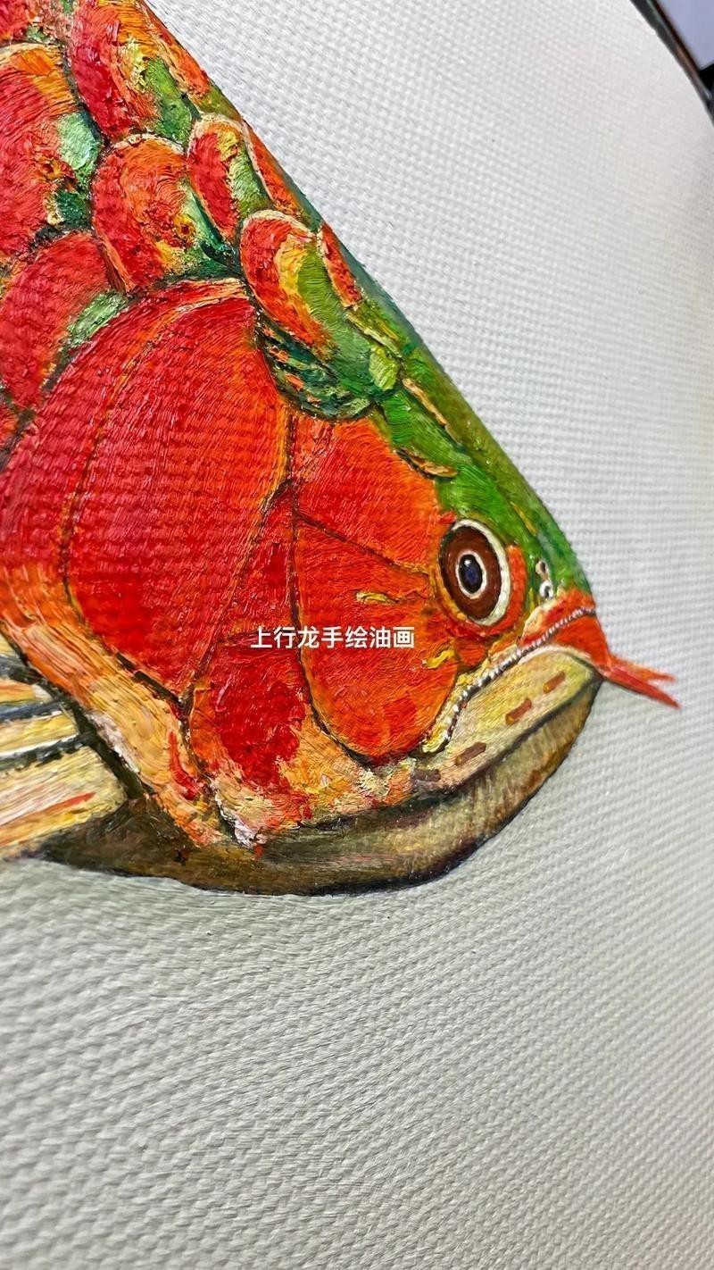 能推薦一些高清的紅龍魚壁紙嗎？