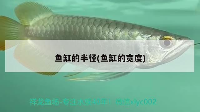魚缸的半徑(魚缸的寬度)