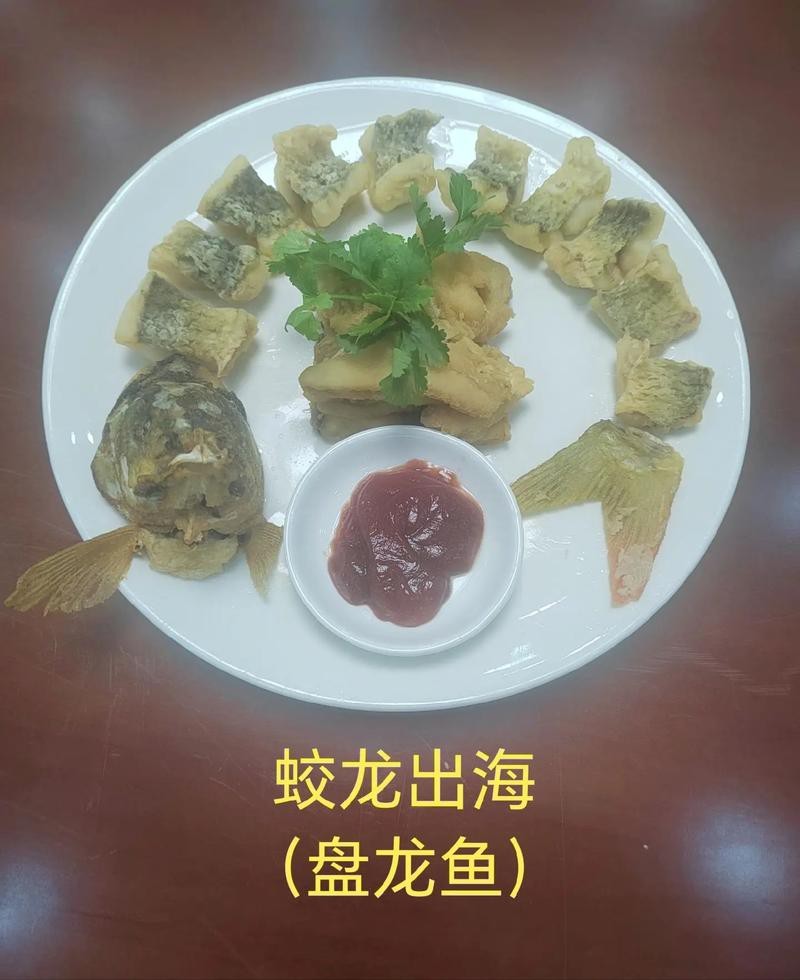 盤龍魚圖片大全欣賞