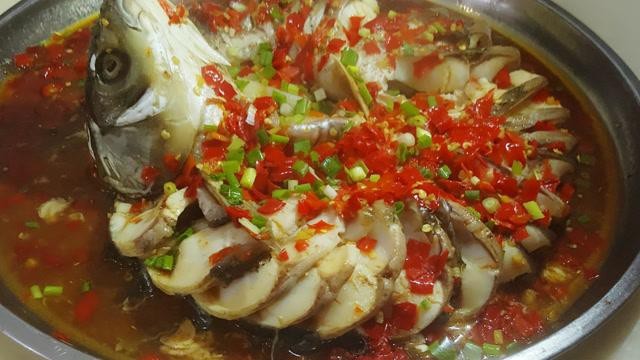 盤龍魚圖片大全欣賞