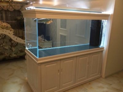 嘉定魚缸定制（上海嘉定魚缸定制） 嘉定魚缸定制（上海嘉定魚缸定制） 魚缸百科 第5張