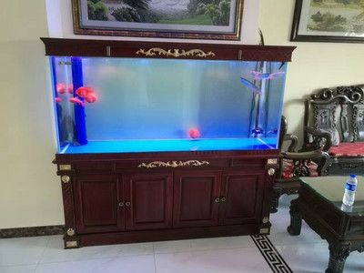 嘉定魚缸定制（上海嘉定魚缸定制） 嘉定魚缸定制（上海嘉定魚缸定制） 魚缸百科 第4張