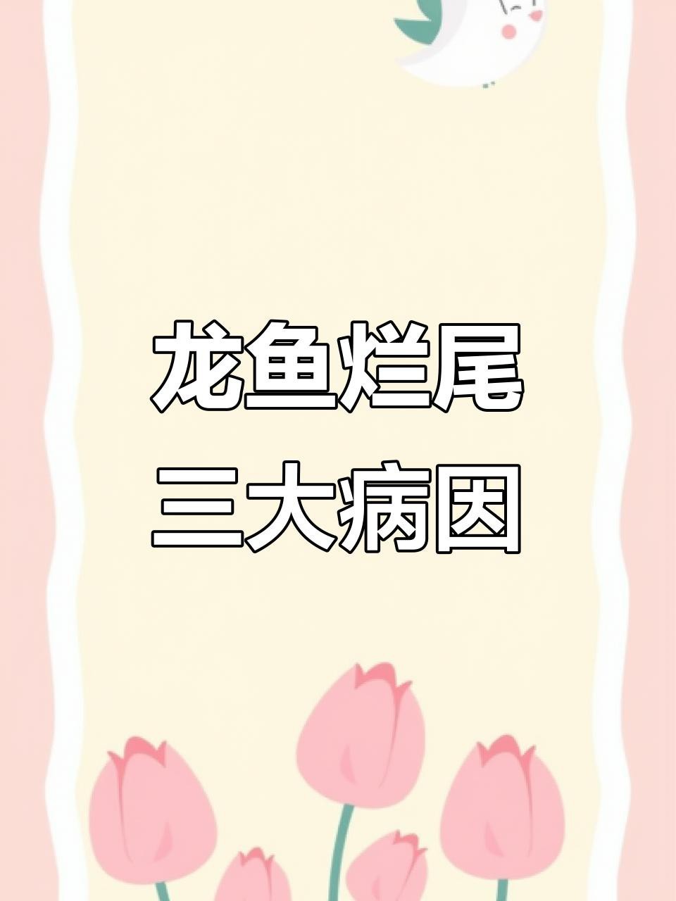 如何判斷龍魚爛尾是否嚴重？