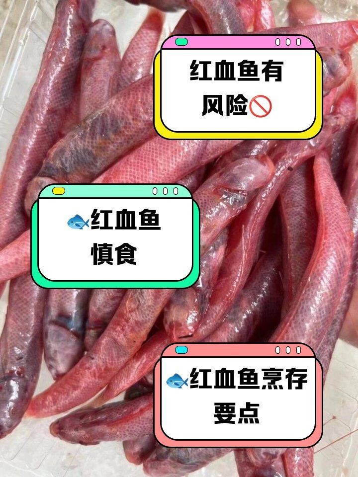 紅血魚盡量少吃的原因